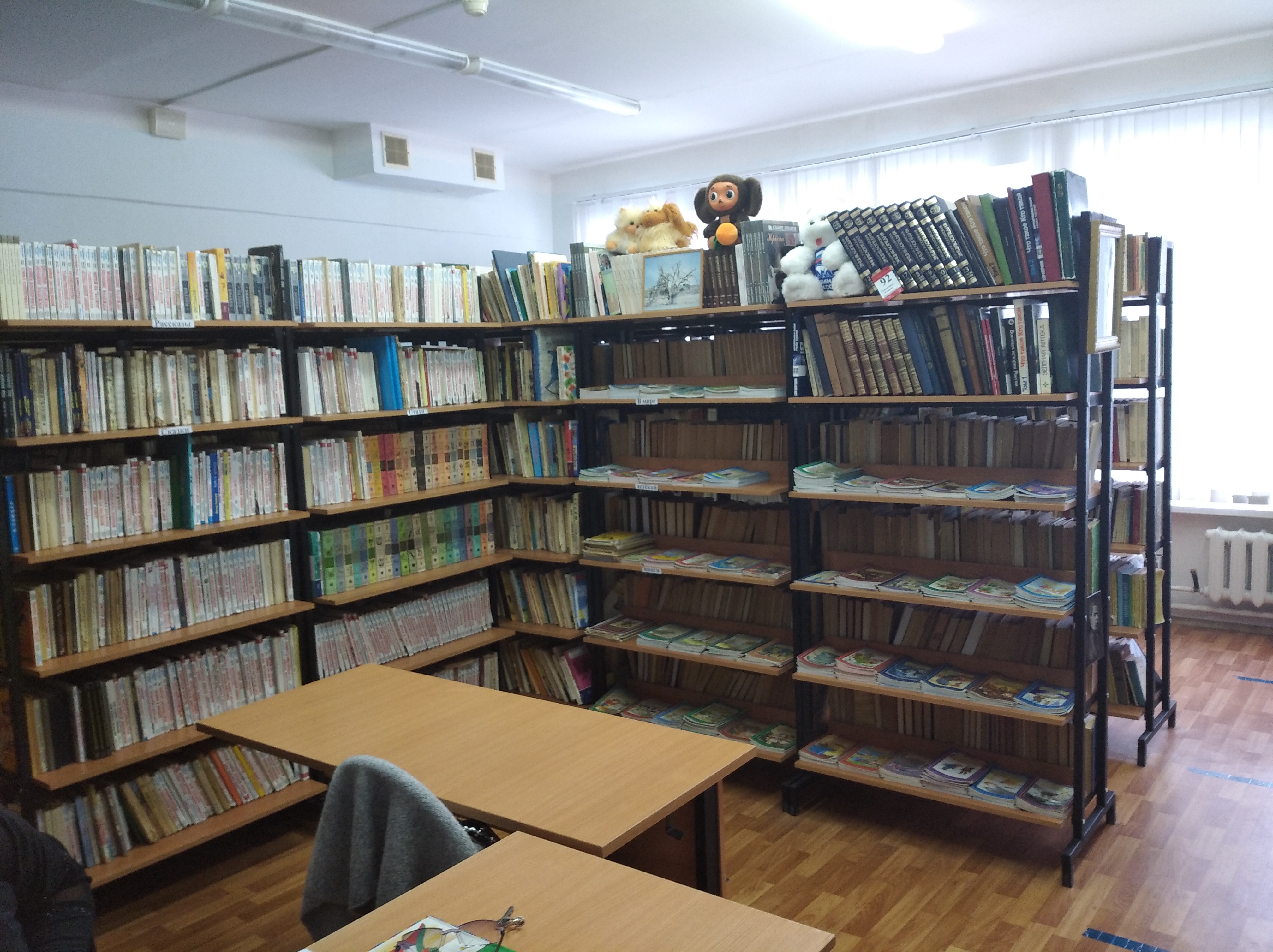 Библиотека Викторопольской СОШ